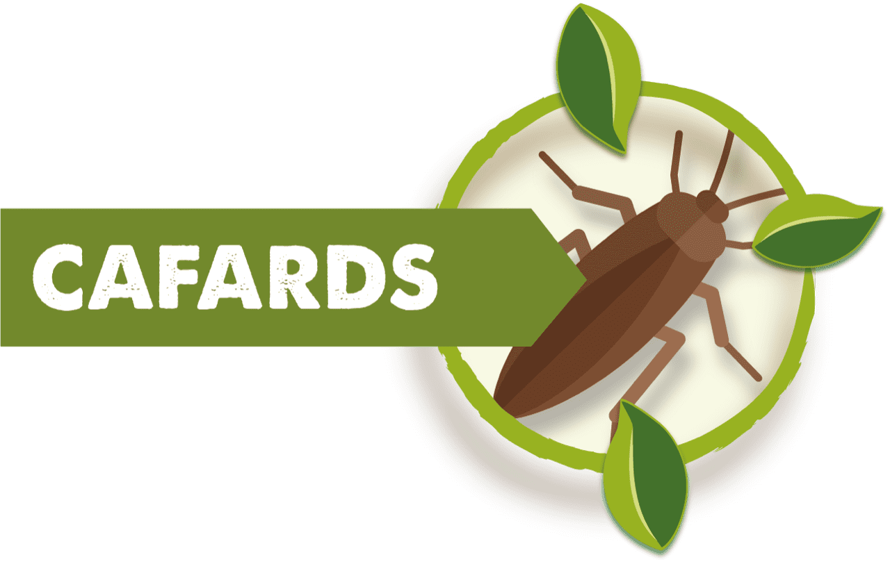 Piège à Cafards et blattes écologique - Aries - Achat Aries